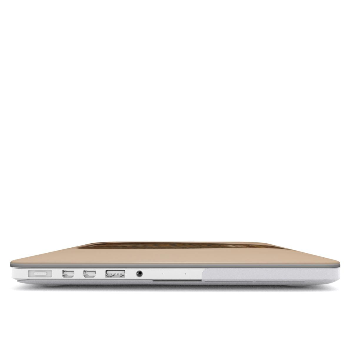Storas Katinas MacBook